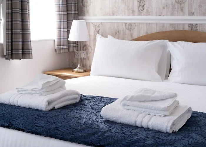 Hotel The Lakeland Hotel, Sure Collection By Western Kendal