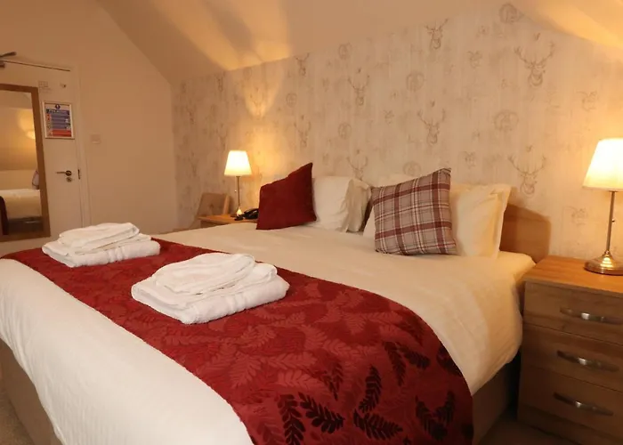 The Lakeland Hotel, Sure Collection By Western 3* Kendal