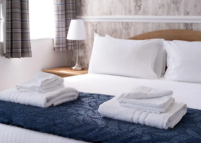 The Lakeland Hotel, Sure Collection By Western Kendal